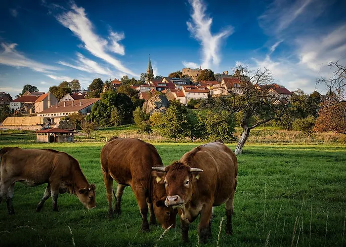 Altenstein 아파트 Maroldsweisach